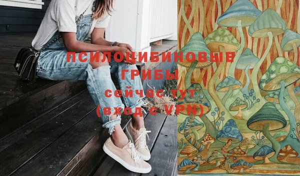 гидропоника Балабаново